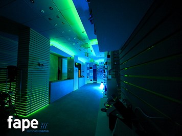 Lighting Showroom